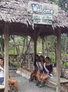 Binibinis visit Bohol Bee Farm